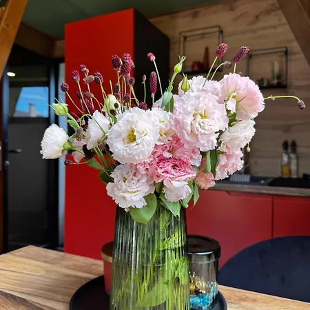 A-frame-hub דירה *