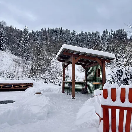 Apartment A-frame-hub з форелевою риболовлею Slavske