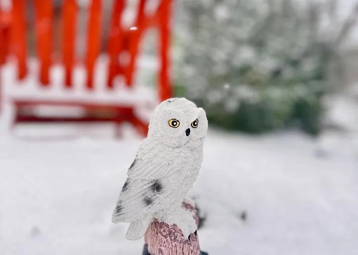 A-frame-hub Apartment Slavske
