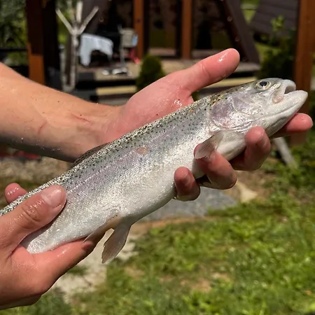 Апартаменты A-frame-hub *